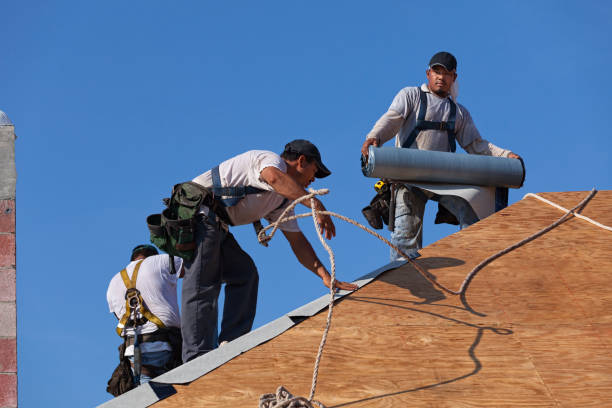Best Sealant for Roof  in Cadillac, MI