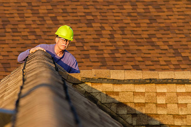 Best Roof Maintenance Services  in Cadillac, MI
